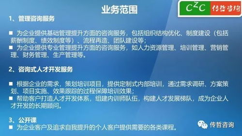 传哲咨询服务企业项目（2018版）信息咨询服务解析